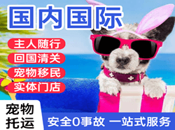胶东航空货运国际宠物托运 【国